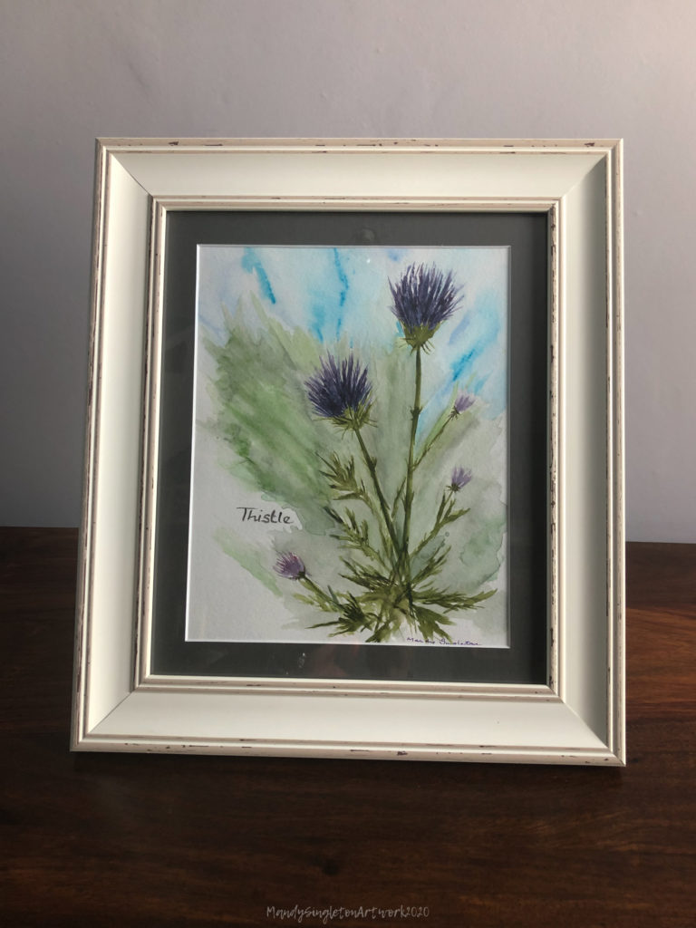 Thistle Watercolour Framed - available to purchase 