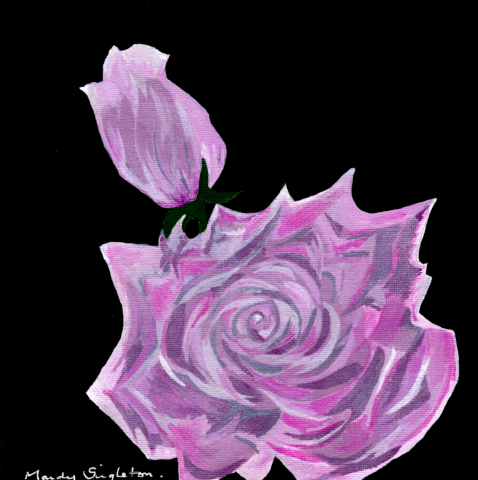 Pink Rose - Bold Flower Collection - Gallery
