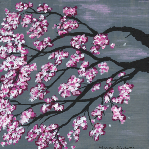 Cherry Blossom - Bold Flower Collection - Gallery